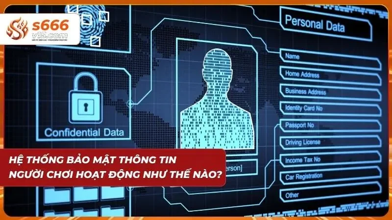 Hệ thống bảo mật cực kỳ uy tín đến từ nền tảng
