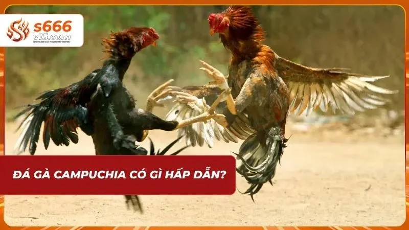 Sức hút từ các trận kê đấu kịch tính đem lại sự phấn khích cho bet thủ