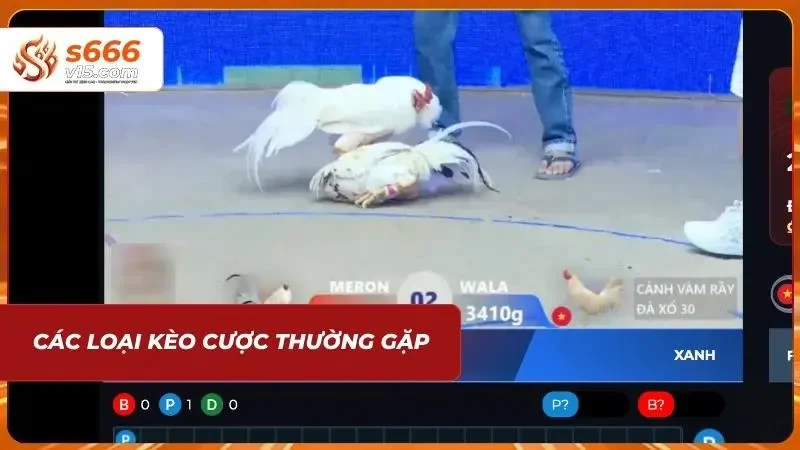 Kèo đa dạng giúp cược thủ cân bằng giữa rủi ro và lợi nhuận