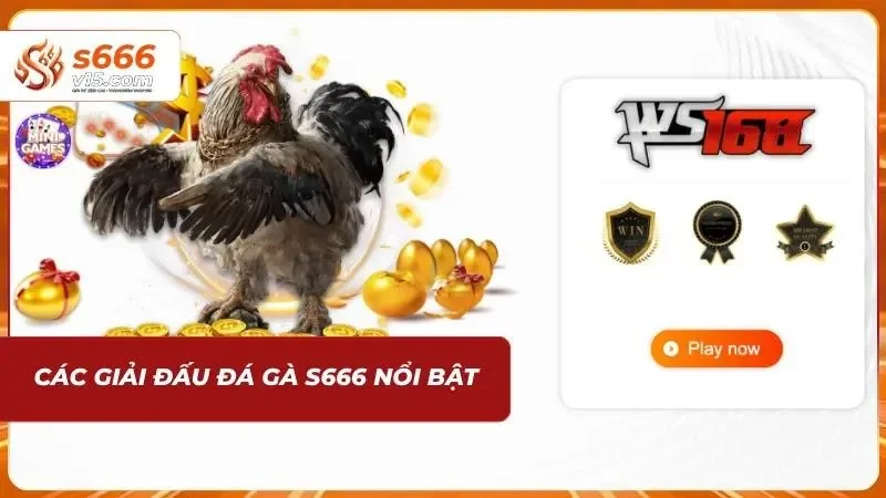 Đá Gà S666 – Trực Tiếp Những Trận Đấu Kịch Tính Mỗi Ngày 1 Tổng hợp các giải đấu đá gà s666 được quan tâm nhất
