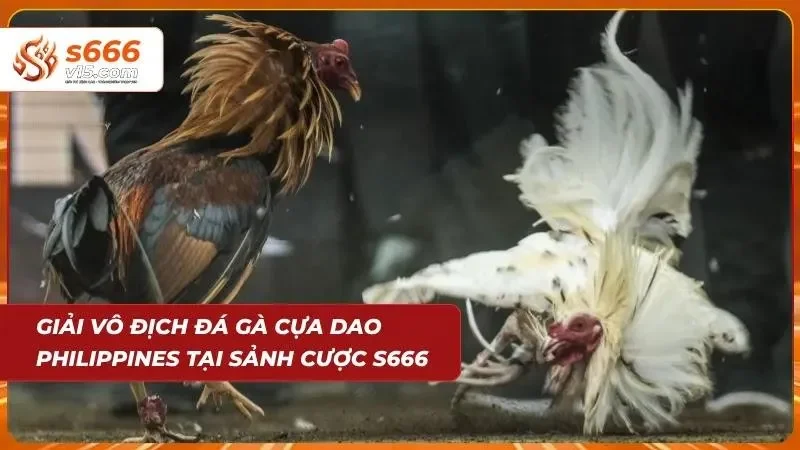 Đá Gà S666 – Trực Tiếp Những Trận Đấu Kịch Tính Mỗi Ngày 2 Giải đấu đá gà chuyên nghiệp với quy mô quốc tế