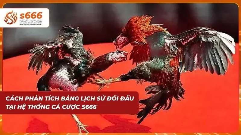 Đá Gà S666 – Trực Tiếp Những Trận Đấu Kịch Tính Mỗi Ngày 4 Bảng thống kê lịch sử thi đấu hỗ trợ phân tích kết quả