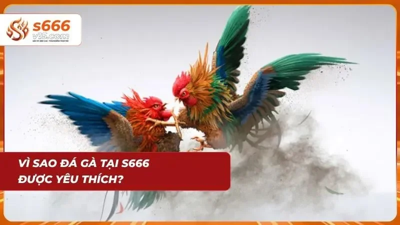 Đá Gà S666 – Trực Tiếp Những Trận Đấu Kịch Tính Mỗi Ngày 7 Giải đấu hấp dẫn thu hút đông đảo người xem theo dõi