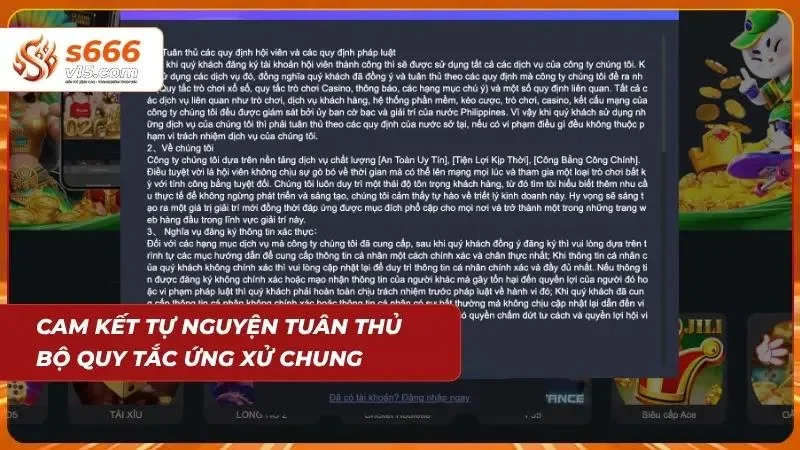 Cam kết tuân thủ bộ quy tắc chung của nền tảng