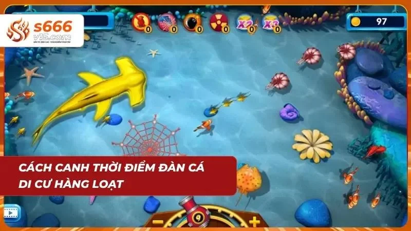 Thời cơ vàng dồn hỏa lực rải đều đạn kết hợp bom hẹn giờ khi các đàn cá bơi theo bầy