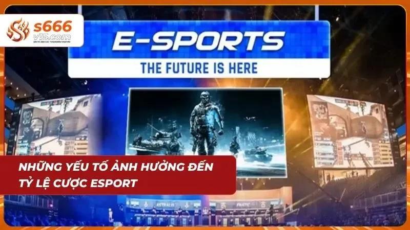 Các chỉ số thay đổi thực tế tác động trực tiếp đến quyết định của bet thủ