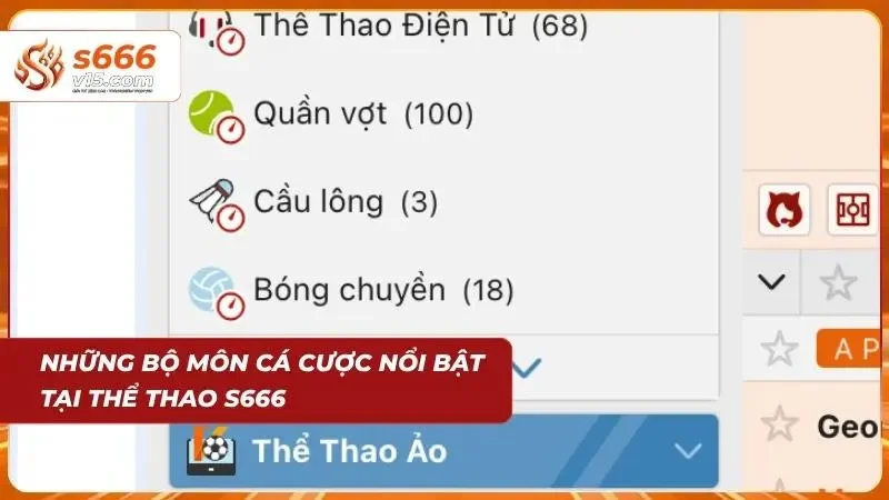 Thể Thao S666 – Cá Cược Bóng Đá Và Thể Thao Hấp Dẫn 2026 1 Tổng hợp nhiều môn thể thao được người chơi quan tâm