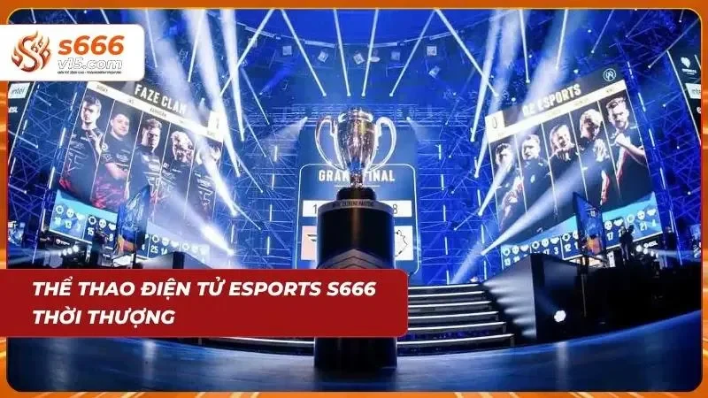 Thể Thao S666 – Cá Cược Bóng Đá Và Thể Thao Hấp Dẫn 2026 3 Giải đấu thể thao điện tử chuyên nghiệp với đông đảo khán giả