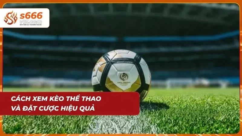 Thể Thao S666 – Cá Cược Bóng Đá Và Thể Thao Hấp Dẫn 2026 4 Người chơi phân tích bảng kèo trước khi đưa quyết định